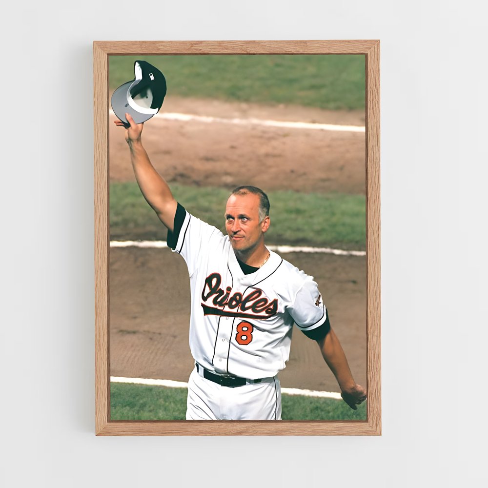 Poster La Fierté du Baseball (vue 4)